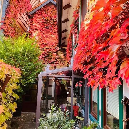 „familie Mehle“ Wernigerode