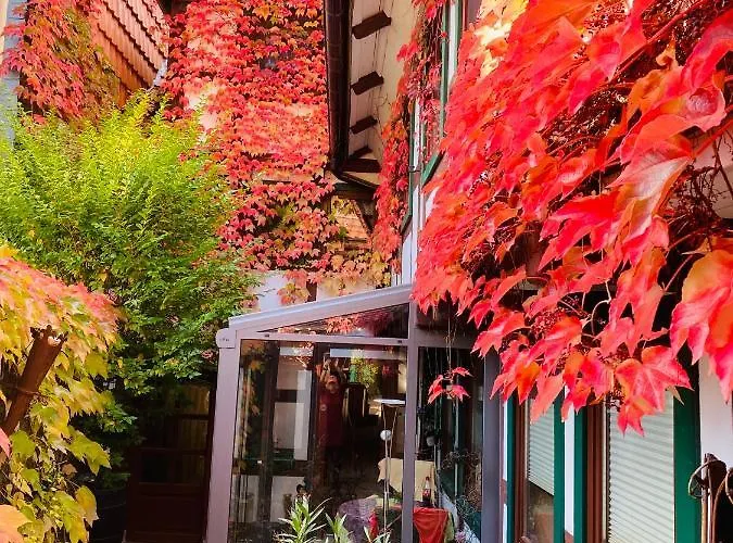 „familie Mehle“ ורניגרוד